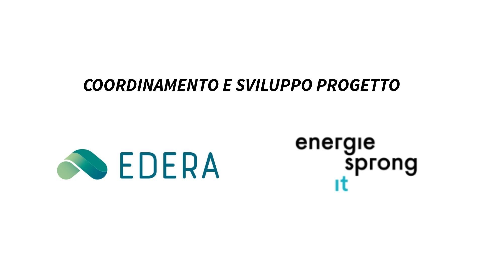 COORDINAMENTO E SVILUPPO PROGETTO (1)