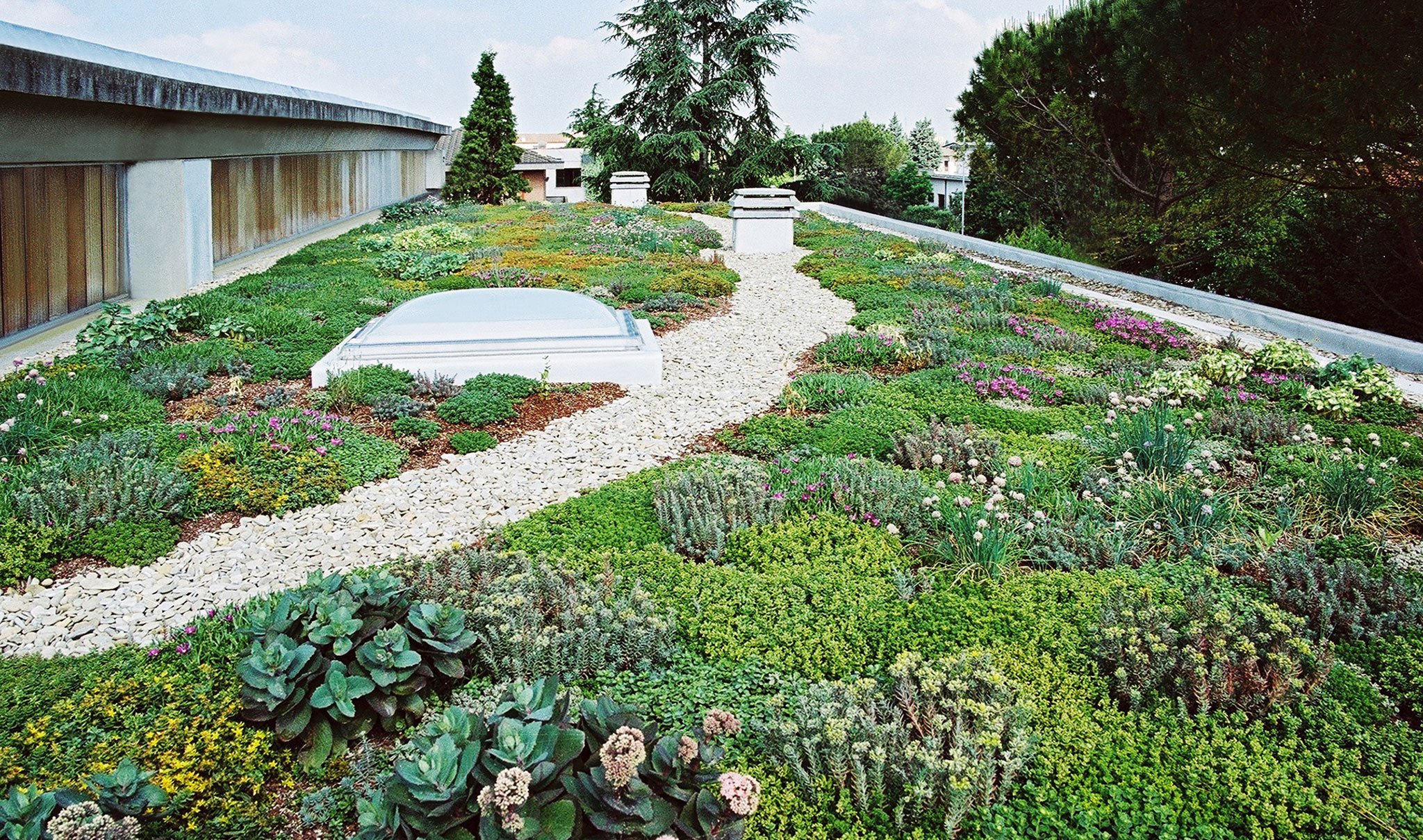 222_green roof-1