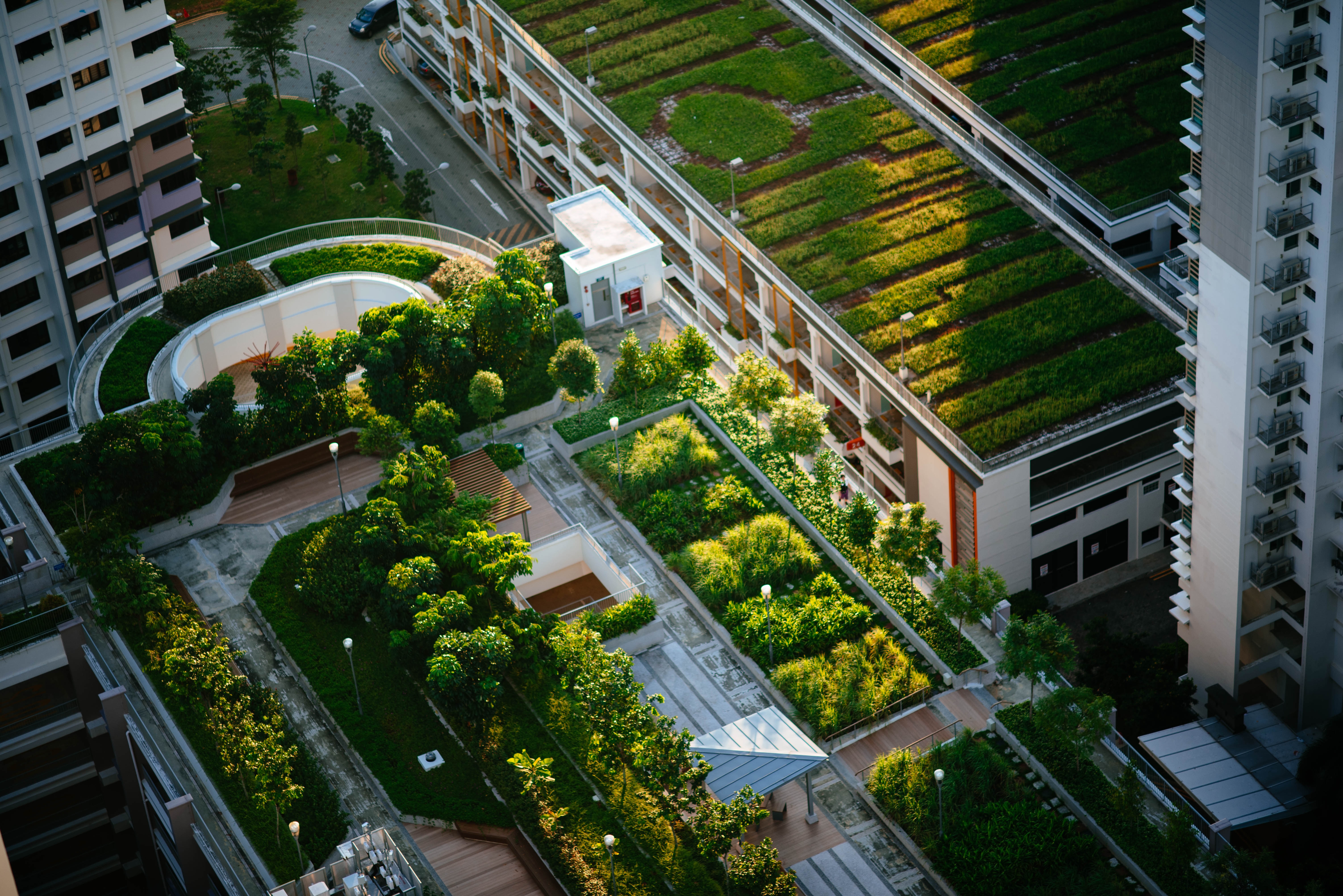 Realizzazione e applicazione di un green roof - Isopan